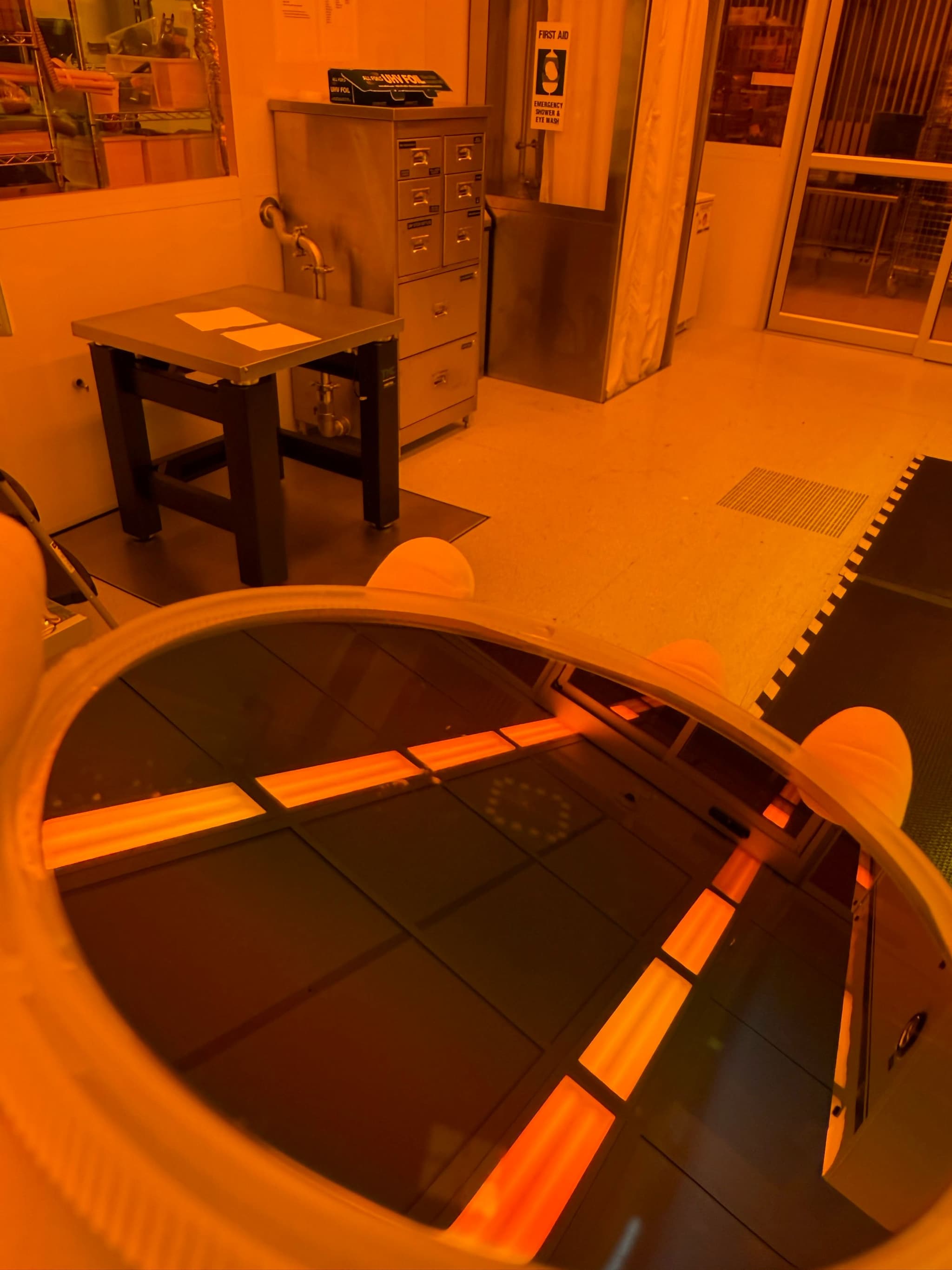 Nanoscale MEA Chip